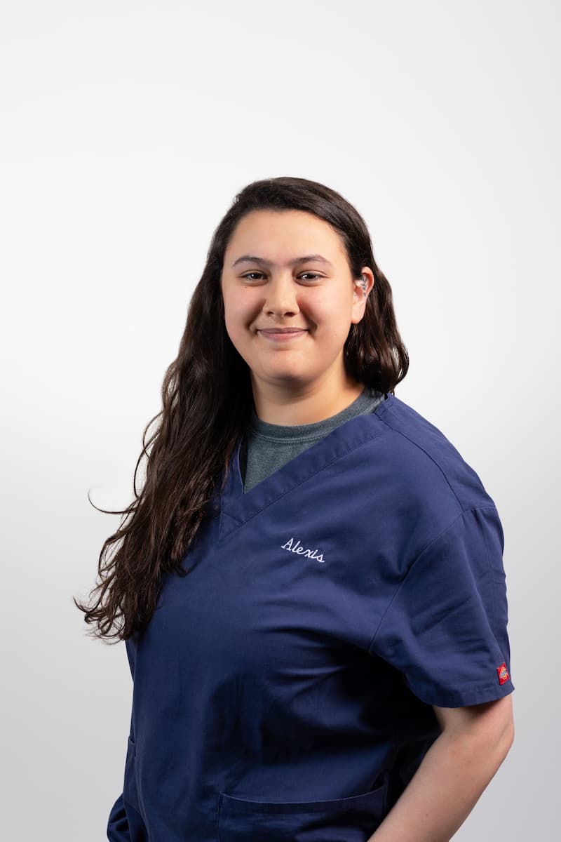 Meet Our Team Cornerstone Veterinary Hospital, Veterinarian in Epping, NH